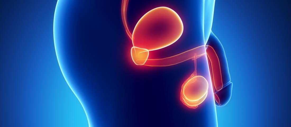 Some misconceptions about vasectomy