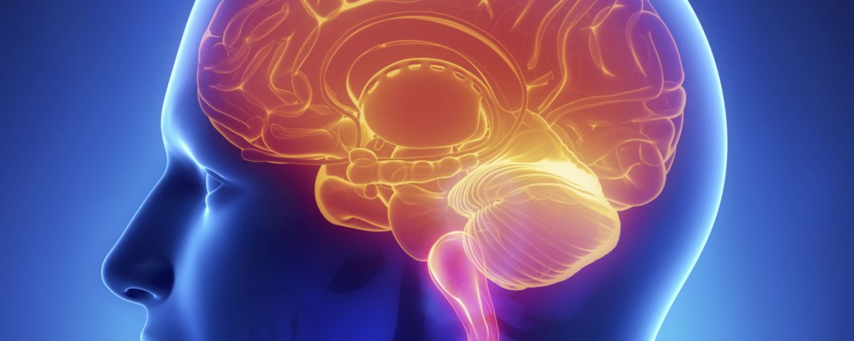 Link between testosterone and brain health