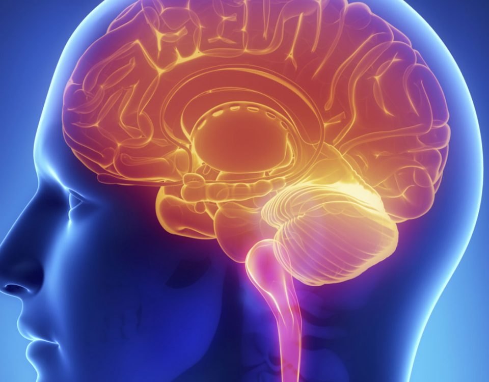 Link between testosterone and brain health