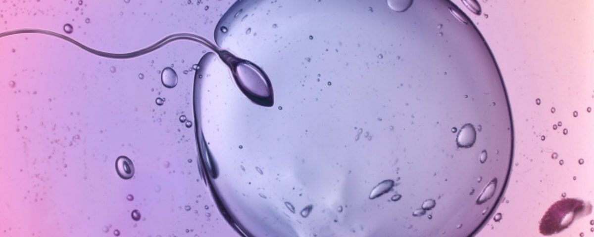 The Difference between Sperm and Semen