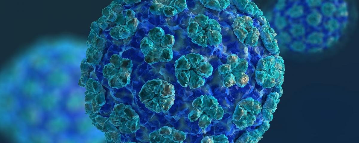 The Human Papillomavirus