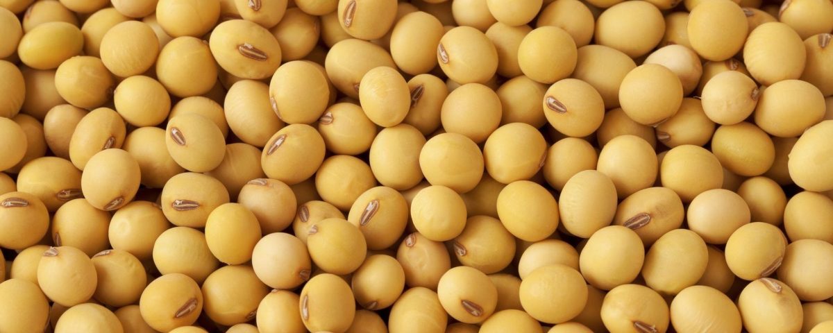Soy products